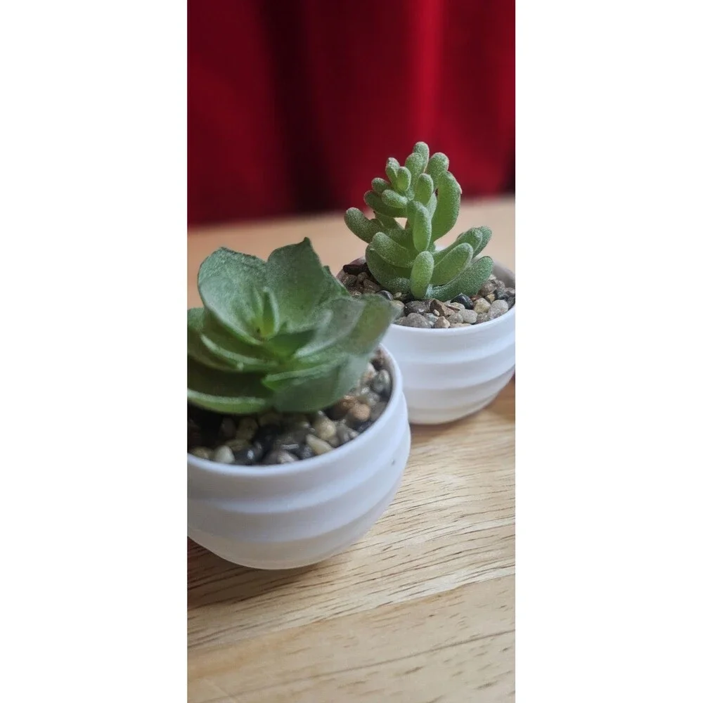 Set of 6 Faux Succulent Plants in White Pots Mini Artificial Desk Home Decor